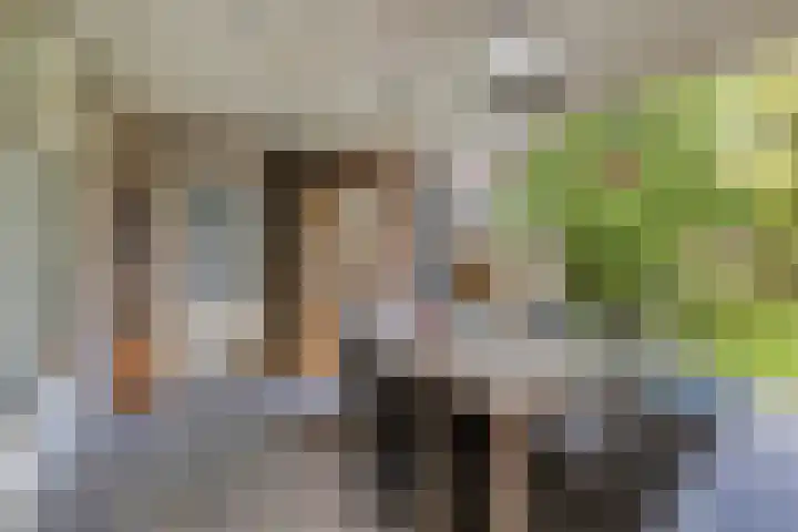 Hegge 32 Schinnen thumbnail 18