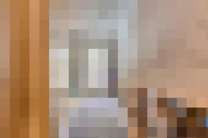 Hegge 32 Schinnen thumbnail 21