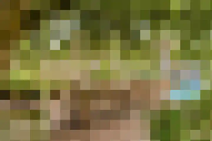 Hegge 32 Schinnen thumbnail 27