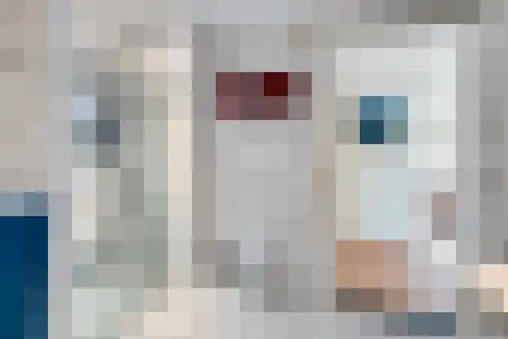 Hegge 32 Schinnen thumbnail 35