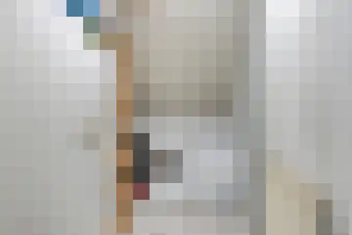 Hegge 32 Schinnen thumbnail 39