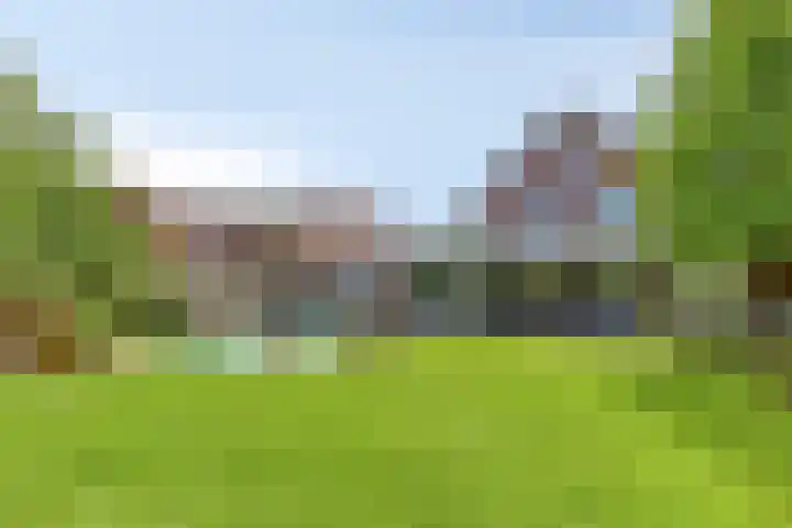 Hegge 32 Schinnen thumbnail 4
