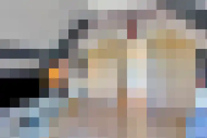 Hegge 32 Schinnen thumbnail 43