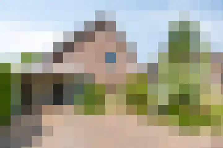 Hegge 32 Schinnen thumbnail 45