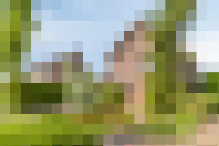 Hegge 32 Schinnen thumbnail 46
