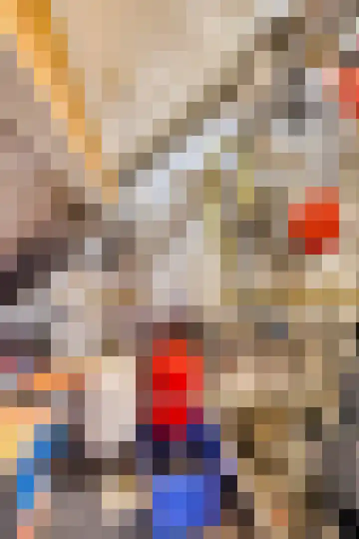 Hegge 32 Schinnen thumbnail 47