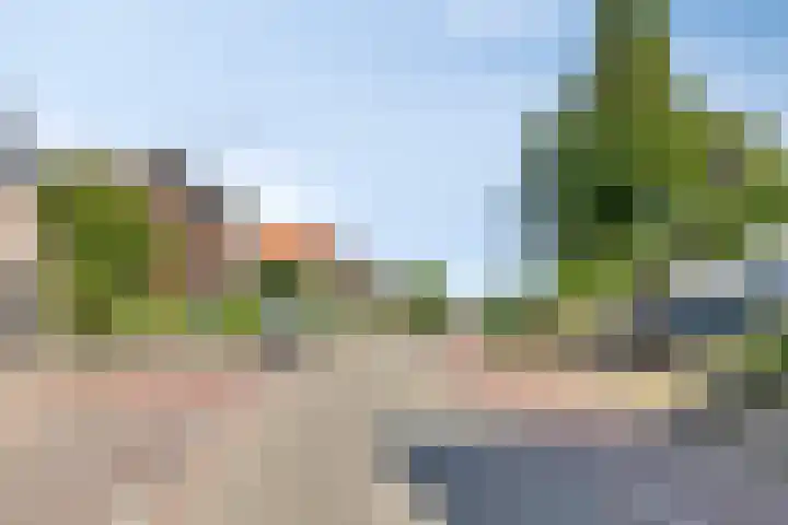Hegge 32 Schinnen thumbnail 50