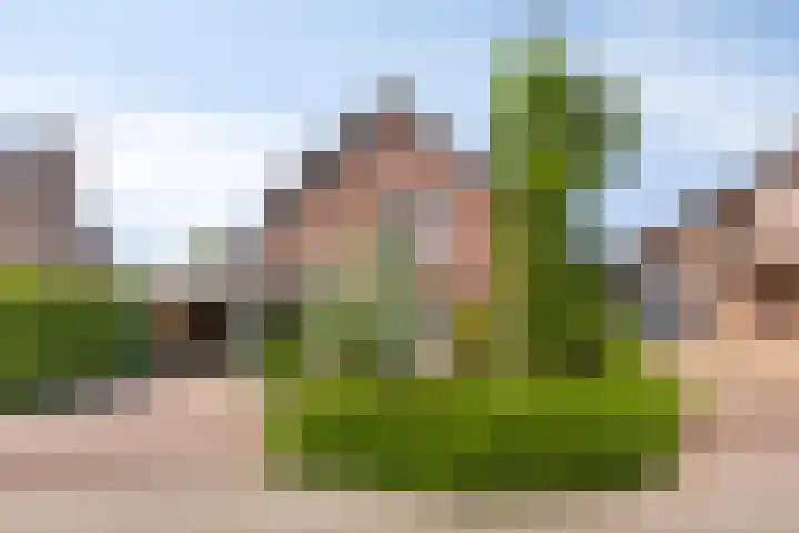 Hegge 32 Schinnen thumbnail 56