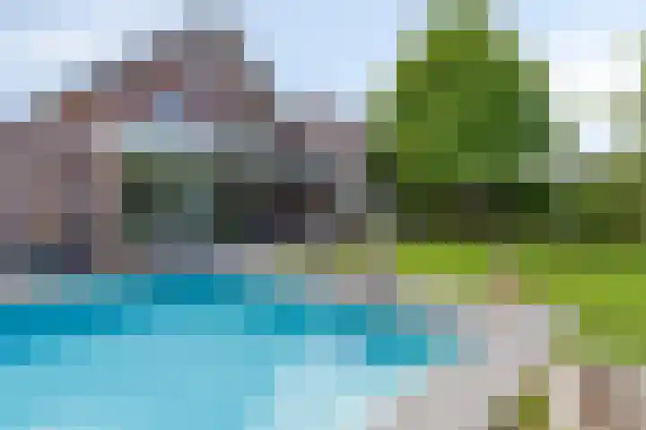 Hegge 32 Schinnen thumbnail 6