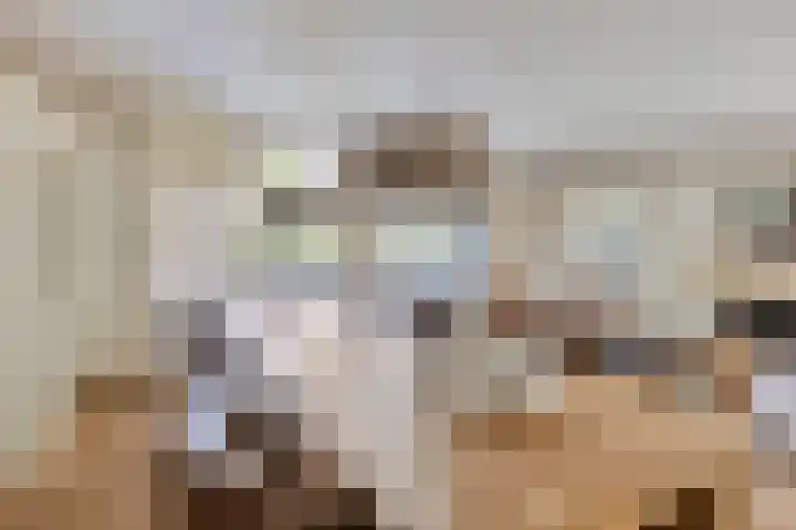 Hegge 32 Schinnen thumbnail 9
