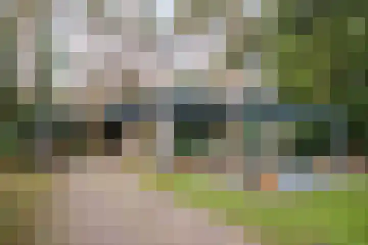 Heggenwikke 5 Norg