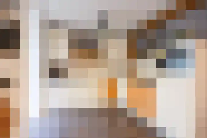 Heggerank 121 Cuijk thumbnail 15