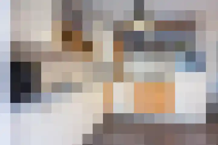 Heggerank 121 Cuijk thumbnail 16