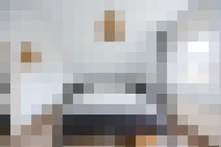 Heggerank 121 Cuijk thumbnail 20