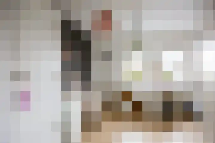 Heggerank 121 Cuijk thumbnail 25