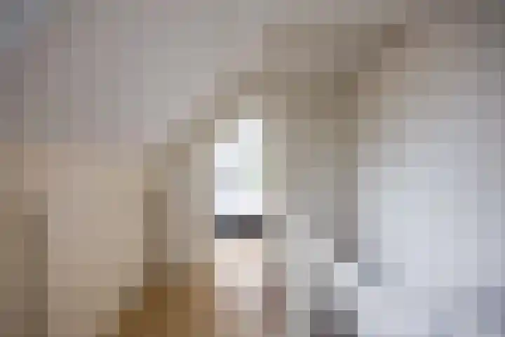 Heggerank 121 Cuijk thumbnail 31