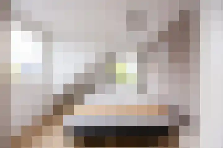 Heggerank 121 Cuijk thumbnail 32