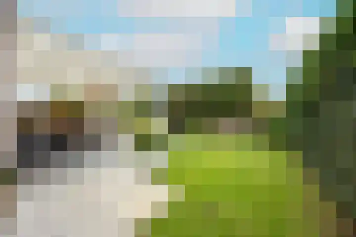 Heggerank 121 Cuijk thumbnail 39