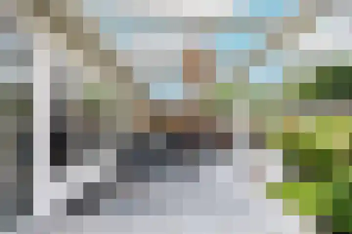 Heggerank 121 Cuijk thumbnail 40