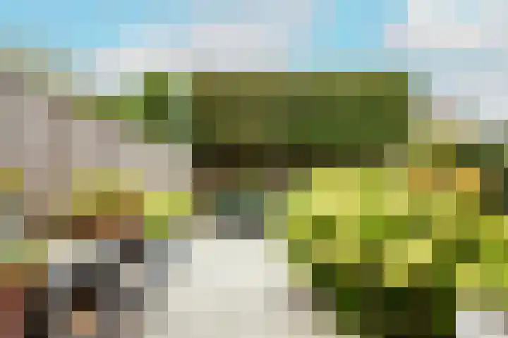 Heggerank 121 Cuijk thumbnail 41