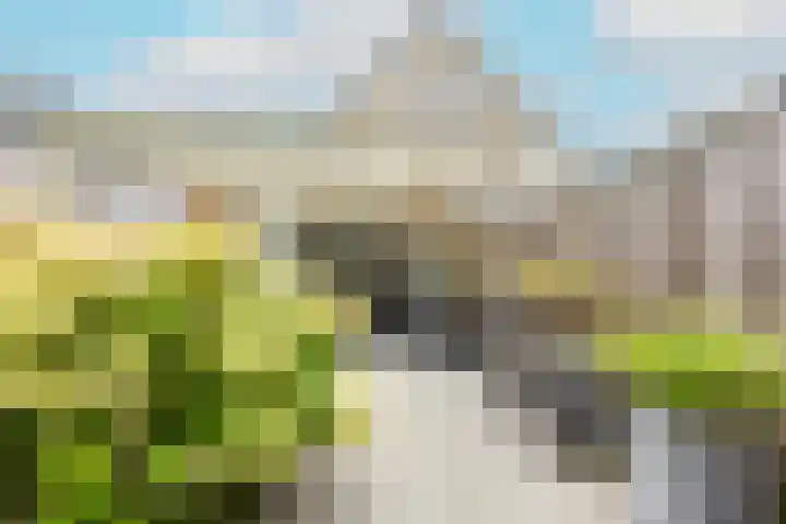 Heggerank 121 Cuijk thumbnail 42