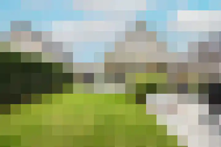 Heggerank 121 Cuijk thumbnail 43