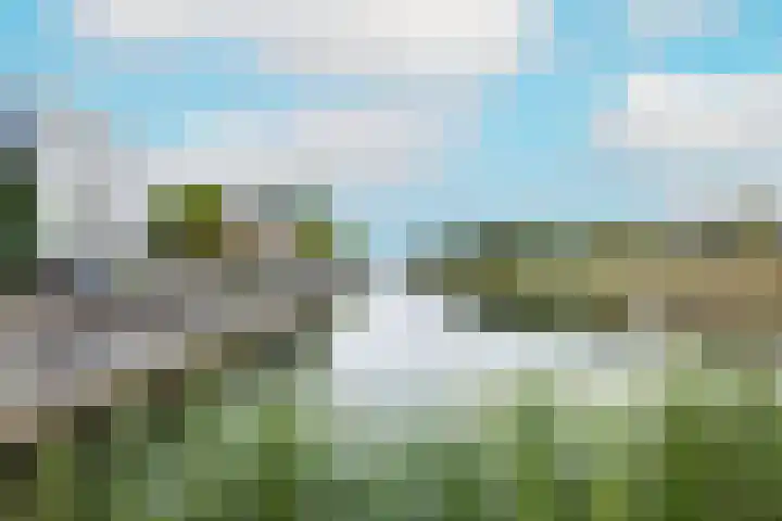 Heggerank 121 Cuijk thumbnail 44