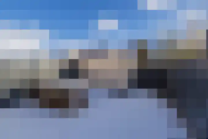 Heggerank 24 Katwijk thumbnail 15