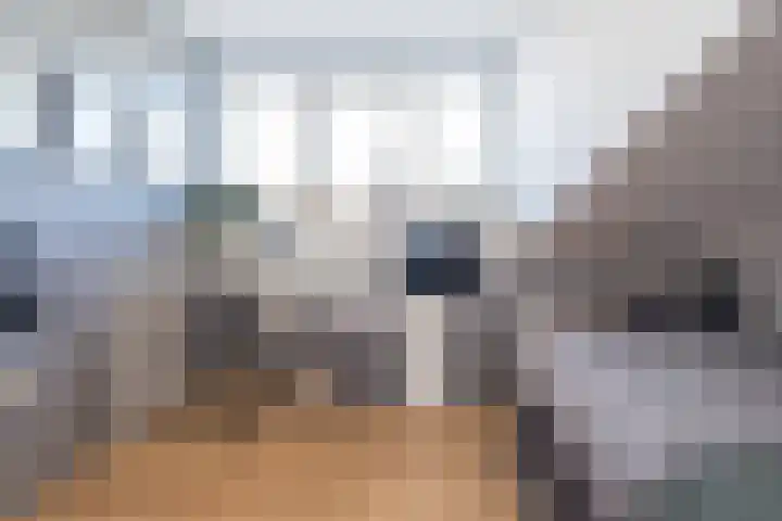 Heggerank 24 Katwijk thumbnail 32