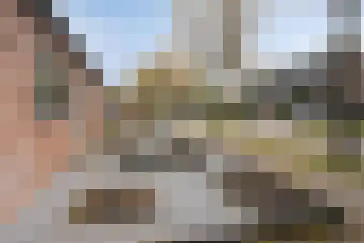 Heggerank 24 Lochem thumbnail 38
