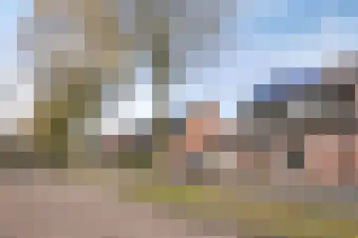 Heggerank 24 Lochem thumbnail 39
