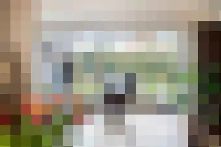 Heggerank 24 Lochem thumbnail 4