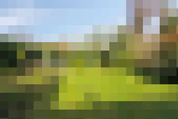 Heggerank 24 Lochem thumbnail 7
