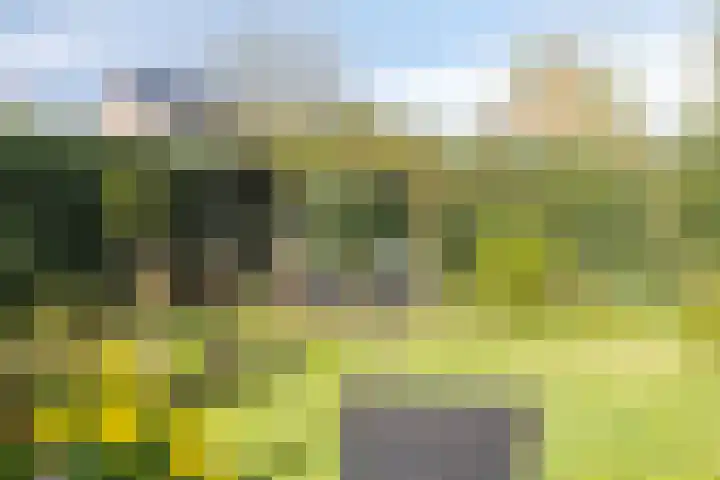 Heggerank 24 Lochem thumbnail 8