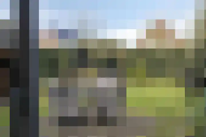 Heggerank 24 Lochem thumbnail 9