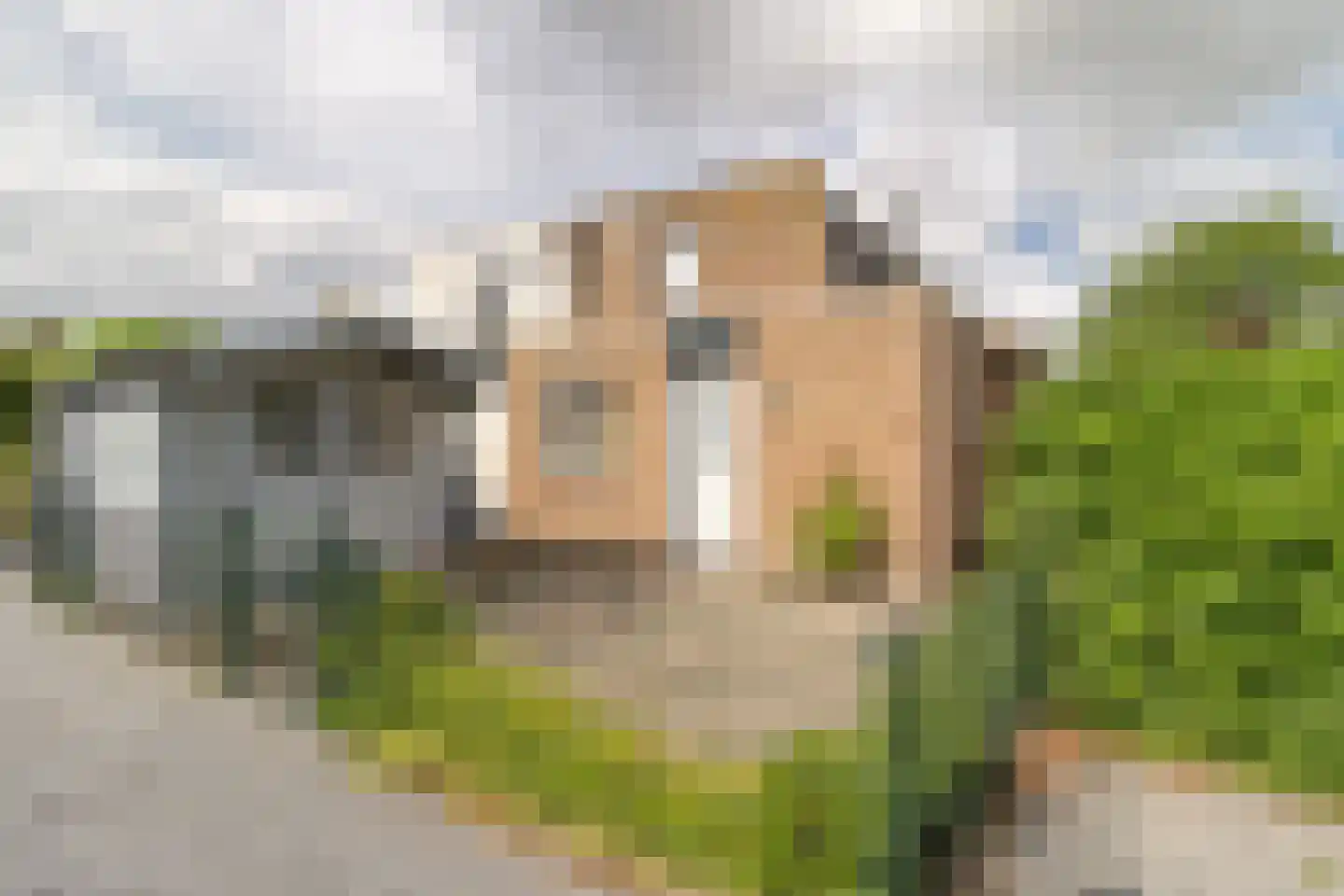 Heggerank 3 C dans Nieuwvliet
