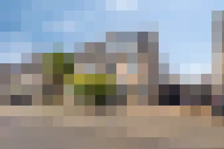 Heggerank 93 dans Cuijk