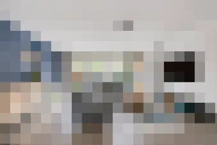 Heggewikke 28 Duiven thumbnail 12