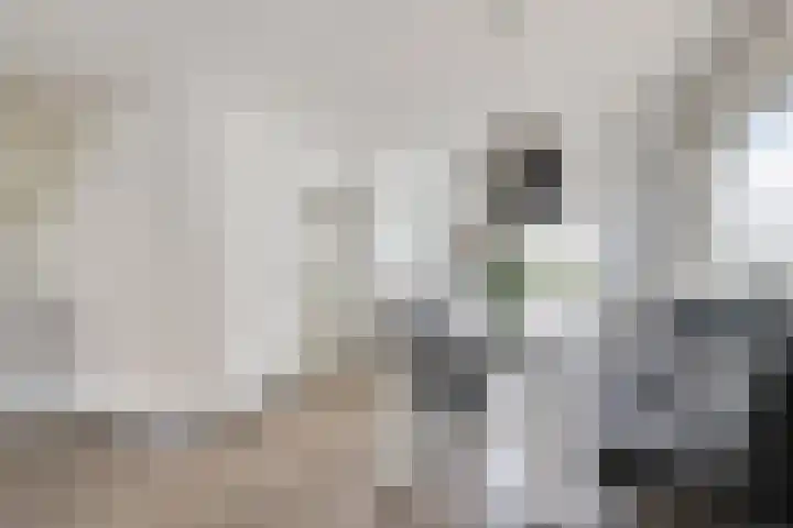 Heggewikke 28 Duiven thumbnail 16