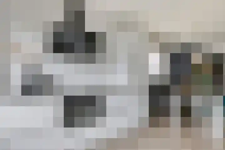 Heggewikke 28 Duiven thumbnail 19