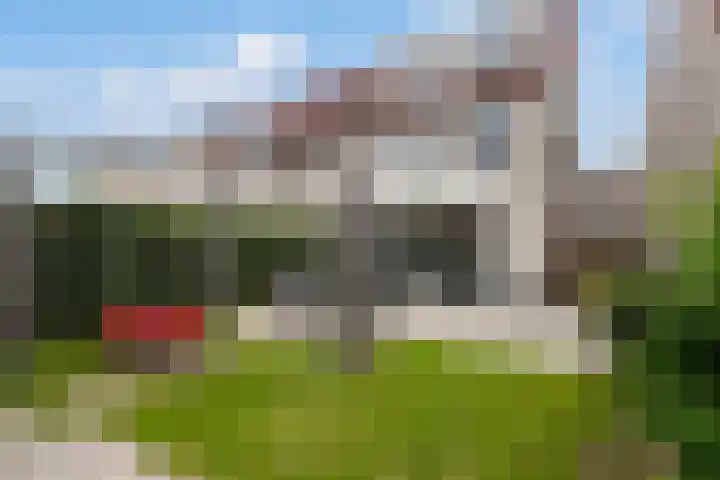 Heggewikke 28 Duiven thumbnail 20
