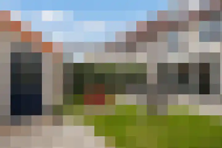 Heggewikke 28 Duiven thumbnail 21