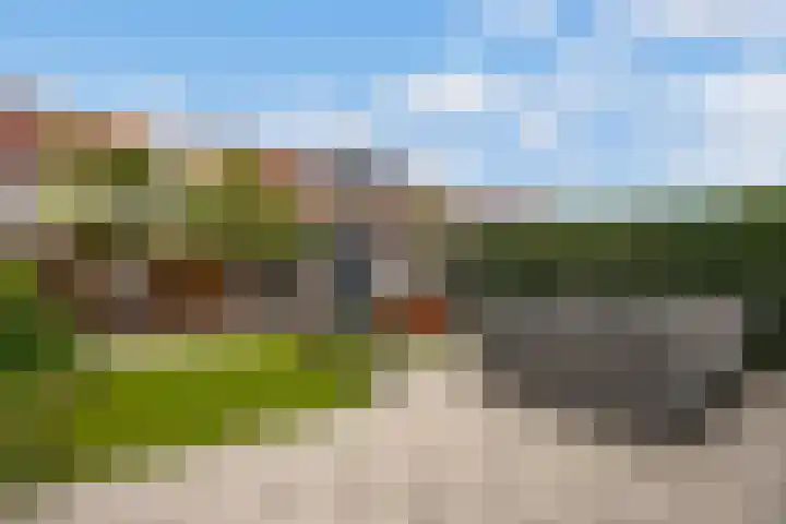 Heggewikke 28 Duiven thumbnail 22