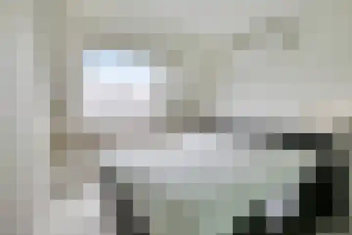 Heggewikke 28 Duiven thumbnail 25