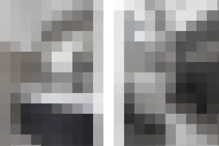 Heggewikke 28 Duiven thumbnail 32