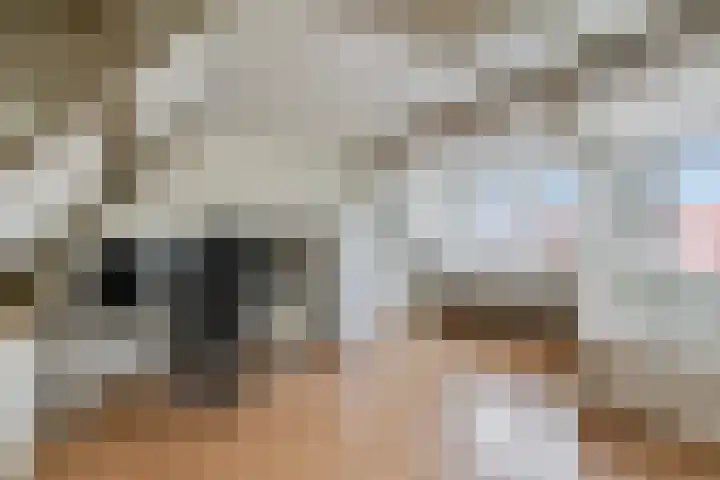 Heggewikke 28 Duiven thumbnail 34