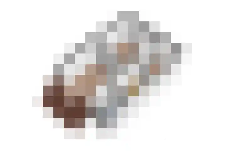 Heggewikke 28 Duiven thumbnail 42
