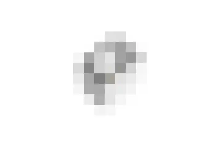 Heggewikke 28 Duiven thumbnail 48