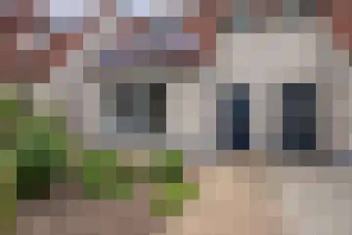 Heggewikke 28 Duiven thumbnail 8