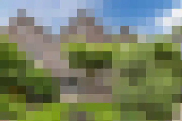 Hegveld 16 Velp thumbnail 34